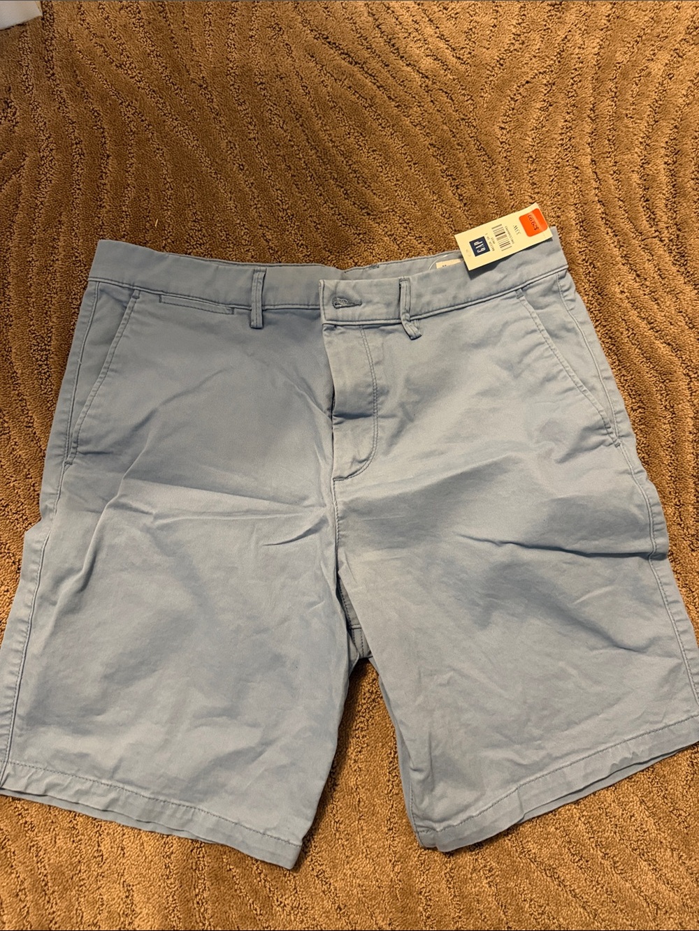 GAP Light Blue Flat Front Chino Shorts